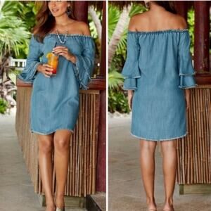 Boston Proper Tencel Off Shoulder Dress